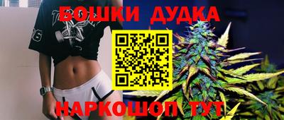гидра Сланцы