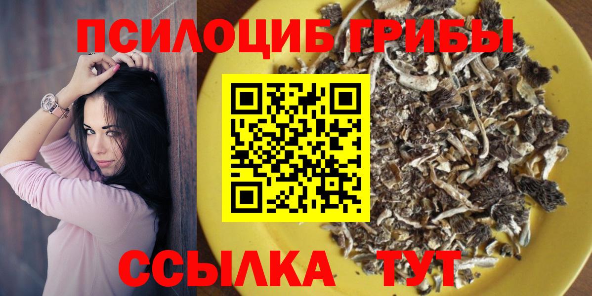 Псилоцибиновые грибы MAGIC MUSHROOMS Саратов