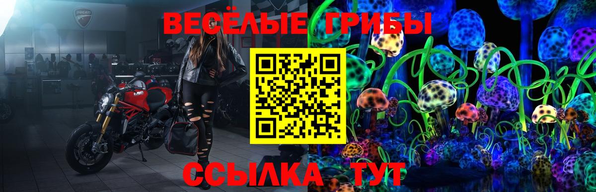 Псилоцибиновые грибы MAGIC MUSHROOMS  Вход с VPN  продажа наркотиков  Саратов 